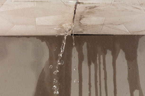 Professional Flood Damage Cleanup technician working in Orcas, WA